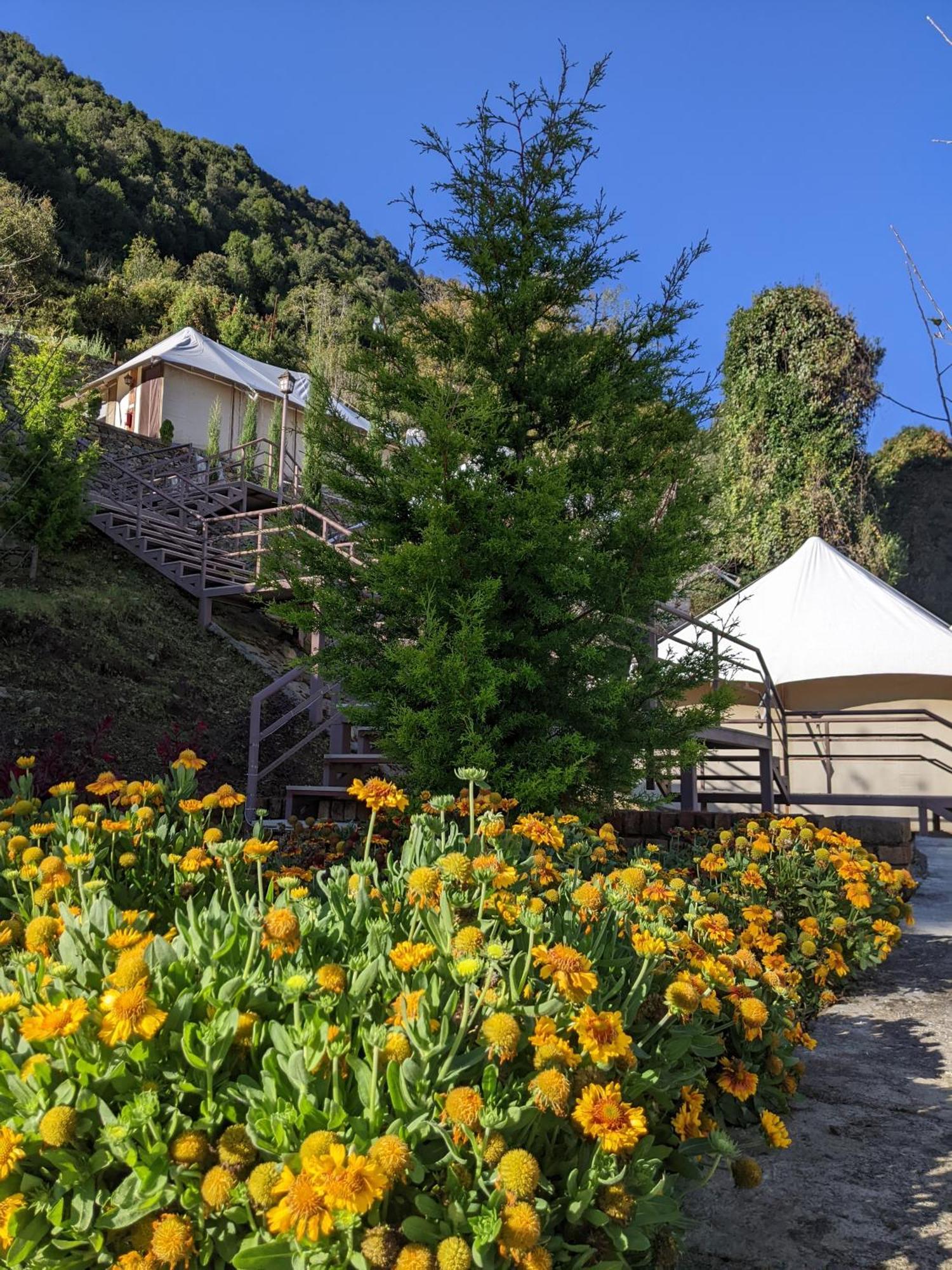 The Bugyal Hotel คานาตัล ภายนอก รูปภาพ